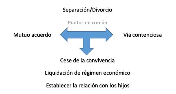 Separación Divorcio, puntos en común mutuo acuerdo vía contenciosa cese de la convivencia liquidación de régimen económico establecer la relación con los hijos 