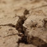 Servicios Legales de Divorcio en Estepona - Profesionales Calificados