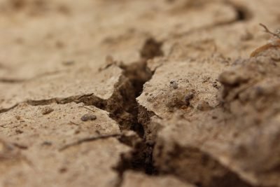 Especialistas en Procesos de Divorcio de Villajoyosa/Vila Joiosa (la) - Asistencia Legal Integral