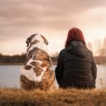 ¿Quién se queda con el perro en el divorcio?